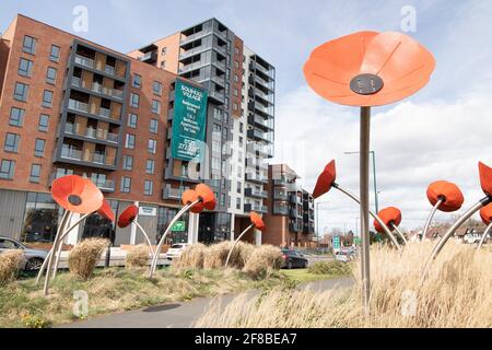 Riesige Mohnskulpturen auf der Verkehrsinsel vor dem Solihull Village Extraare Apartments Stockfoto