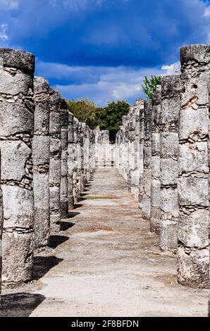 Reihen von Steinsäulen an der Stelle von Chichen Itza, Yucatan, Mexiko Stockfoto