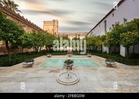 Pool in den Gärten von Alcazar de los Reyes Cristianos, Festung der christlichen Könige, Cordoba, Spanien. Gärten von Alcazar de los Reyes Cristianos, F Stockfoto