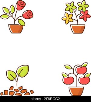 Gartengeschäft Kategorien RGB-Farbsymbole gesetzt Stock Vektor