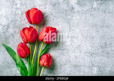 Rote Tulpenreihe auf konkretem Hintergrund mit Platz für Text, Botschaft 8. März, Happy Valentine's Day, Mutter, Memorial, Tag des Lehrers, Hallo Frühling Stockfoto