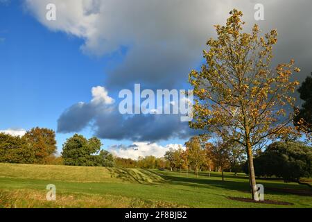 Herbstlandschaft in der Landschaft von Adare in der Grafschaft Limerick, Irland. Stockfoto