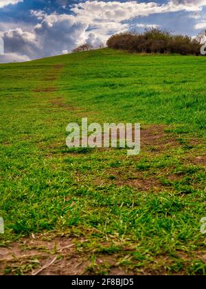 Ein Fußweg auf einer Wiese, die bergauf und über den Horizont hinausführt, bilden sich am blauen Himmel massive Wolken. Stockfoto