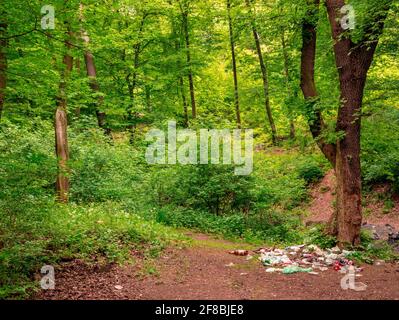 Illegale Mülldeponie in Wald Stockfoto