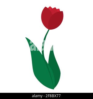 Isolierte Tulpe Blume Symbol flach Design Vektorbild Stock Vektor