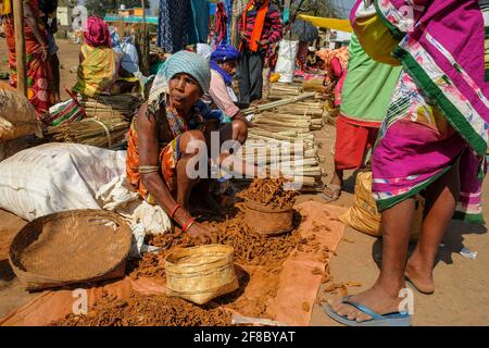 Jagdalpur, Indien - Februar 2021: Adivasi-Frauen auf dem Jagdalpur Wochenmarkt am 28. Februar 2021 in Chhattisgarh, Indien. Stockfoto