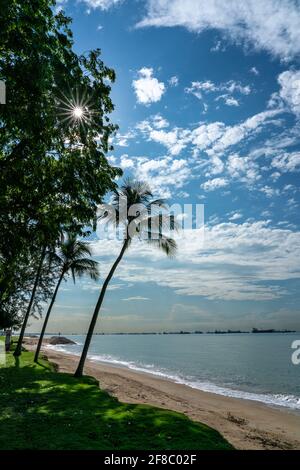 Tropischer Strand an sonnigen Tagen. East Coast Park, Singapur Stockfoto