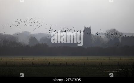 Holme-next-the-Sea Kirche an einem nebligen Wintermorgen gesehen über die Weiden Sümpfe. Stockfoto