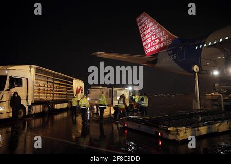 (210413) -- PEKING, 13. April 2021 (Xinhua) -- Arbeiter entladen einen Container mit Chinas Sinopharm-Impfstoffen auf dem Belgrader Flughafen, Serbien, 10. Februar 2021. (Foto von Predrag Milosavljevic/Xinhua) Stockfoto