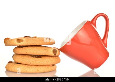 Vier runde, aromatische, frische, leckere, süße Rosinenplätzchen mit einer roten Keramikschale aus nächster Nähe auf weißem Grund. Stockfoto