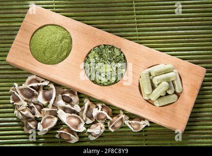 Moringa Nährstoffpflanze - Moringa oleifera Stockfoto