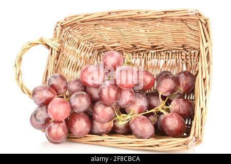 Ein Bund frischer, saftiger, reifer, süßer Trauben aus biologischem Anbau mit einem Korbkorb aus Weinreben, aus nächster Nähe, auf weißem Hintergrund. Stockfoto