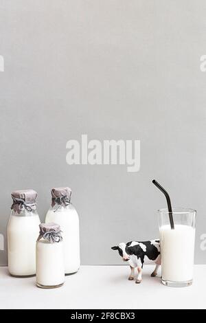 Flaschen frischer Milch, eine Figur einer Kuh und ein Glas Milch auf hellgrauem Hintergrund. Minimalistisches Stillleben von Milch, Kopierraum. Stockfoto