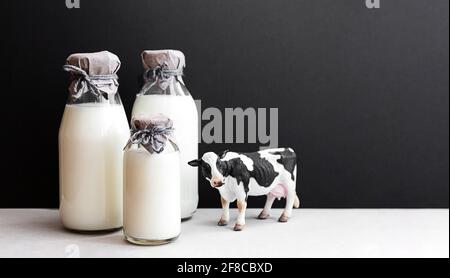 Flaschen mit frischer Milch und Figur einer Kuh. Minimalistisches Stillleben von Milch, Kopierraum. Stockfoto