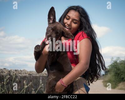 Asiatische Hündin, die mit einem drei Monate alten labrador Retriever Welpe aus Schokolade spielt. Stockfoto