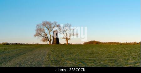 Black Mill, ein lokales Wahrzeichen, das von grünen Bäumen unter blauem Himmel im Westwood im frühen Frühjahr in der Nähe von Beverley, Yorkshire, Großbritannien, flankiert wird. Stockfoto