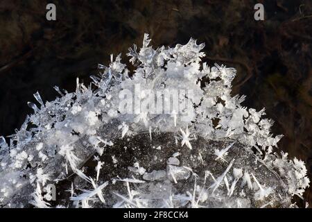 Die kreative Eleganz der Natur: Eisskulpturen, Eisblumen und Reifrost, im Hintergrund das klare Wasser des Yukon River. Stockfoto