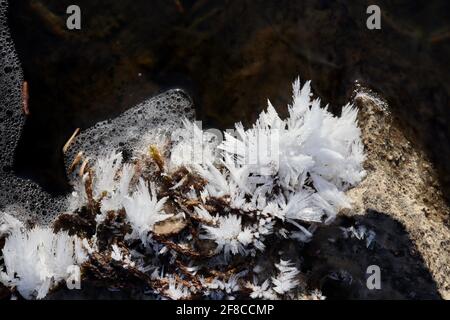 Die kreative Eleganz der Natur: Eisskulpturen, Eisblumen und Reifrost, kombiniert mit dem klaren Wasser und den farbigen Felsen des Yukon River. Stockfoto