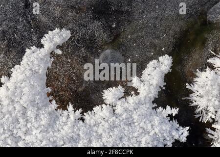 Die kreative Eleganz der Natur: Eisskulpturen, Eisblumen und Reifrost, kombiniert mit dem klaren Wasser und den farbigen Felsen des Yukon River. Stockfoto