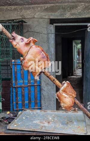 Macho Asado, gebratenes Schwein, auf einer Straße in Bayamo, Kuba Stockfoto
