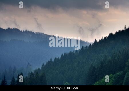 Nebliger Herbstmorgen in den Bergen, Beskiden, Tschechien Stockfoto