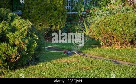 Sprühgerät zur Bewässerung des Rasens und der Pflanzen im heimischen Garten Stockfoto