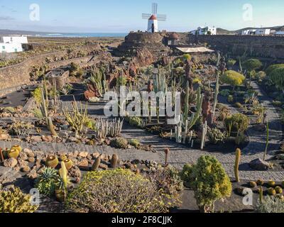 Museum des Jardin de Cactus auf Lanzarote auf der Kanarischen Insel In Spanien Stockfoto