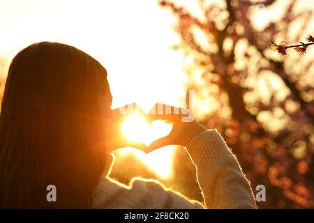 Nahaufnahme einer Frau Hände, die Herzform an bilden Sonnenuntergang auf einem Feld Stockfoto