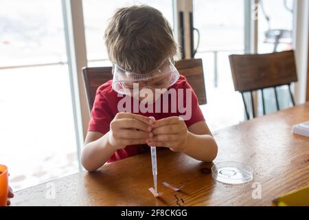 Kleiner Junge, der wissenschaftliche Experimente auf dem Küchentisch macht Stockfoto