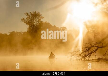 Kanufahrt bei Sonnenaufgang auf einem nebligen Fluss. Stockfoto