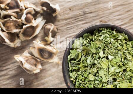 Moringa Nährstoffpflanze - Moringa oleifera Stockfoto