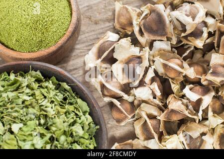 Moringa Nährstoffpflanze - Moringa oleifera Stockfoto