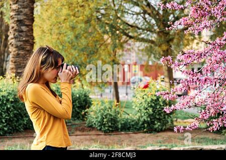 Junges Mädchen, das Fotos von rosa Baumblumen in der parken Sie im Frühling Stockfoto