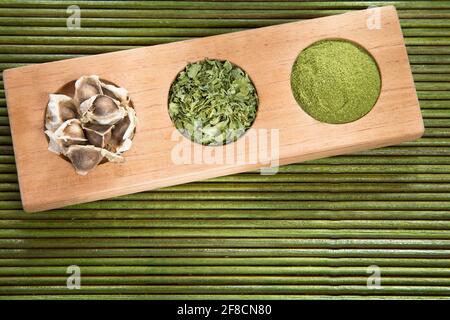 Moringa Nährstoffpflanze - Moringa oleifera Stockfoto