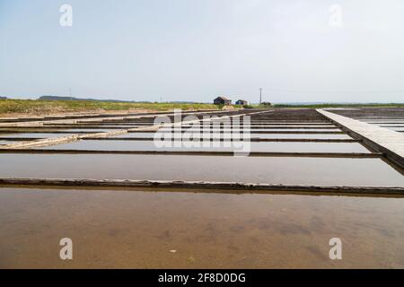 Traditionelles Salzgewinnungslager (Salinas) in Figueira da Foz, Portugal Stockfoto