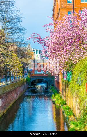 Blick auf den Rochdale Kanal in Manchester, England Stockfoto