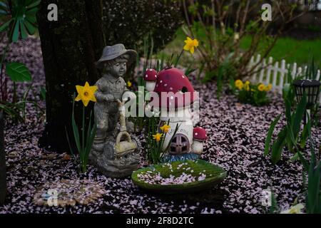 Blütenblätter der gefallenen Kirschblüte im Garten Stockfoto