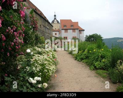 Pfad und Blumen auf den Dornburger Schlössern, Deutschland Stockfoto