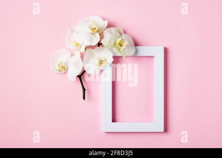 Weißer Rahmen und weiße Orchideenblume auf einem rosa Hintergrund. Stockfoto