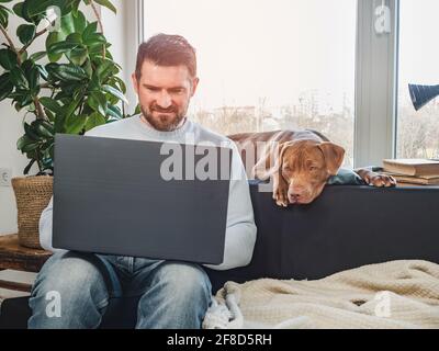 Gutaussehender Mann und ein bezaubernder Welpe. Nahaufnahme, drinnen. Studio-Foto, weiß. Konzept der Pflege, Erziehung, Gehorsamsausbildung und der Erziehung von Haustieren Stockfoto