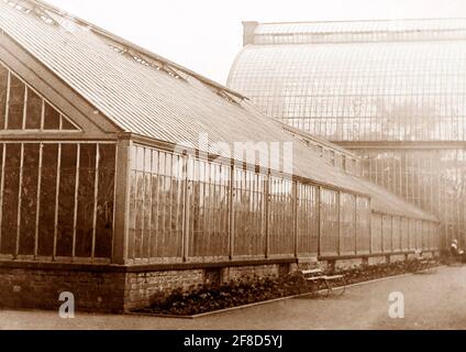 Botanischer Garten Liverpool Anfang des 20. Jahrhunderts Stockfoto