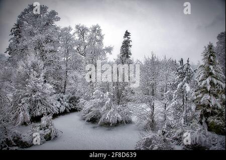 DE - Bayern: Szene Winter entlang der Isar in Bad Tölz Stockfoto