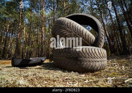 Alter Reifen im Wald, Verschmutzung von Naturautoreifen Stockfoto