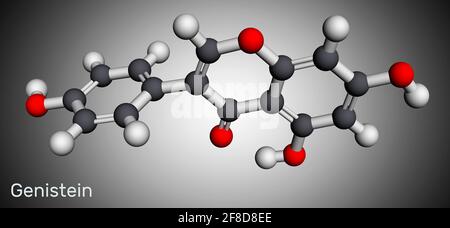 Genistein-Isoflavonmolekül. Es ist Angiogenese-Inhibitor, Phytoöstrogen, Isoflavonoid aus Soja-Produkten abgeleitet. Es hat antihelmintische Aktivität. Mol Stockfoto
