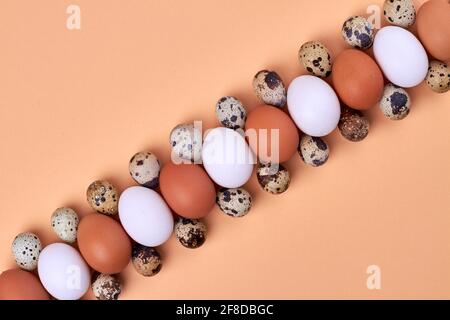Wachtel und Hühnereier in einer Reihe angeordnet. Stockfoto
