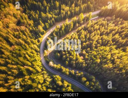 Luftaufnahme der Bergstraße im schönen Wald bei Sonnenuntergang im Sommer. Draufsicht von Drohne auf kurvenreiche Straße in Wäldern. Farbenfrohe Landschaft mit geschwungenem Roa Stockfoto