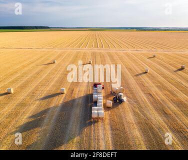 Luftaufnahme von LKW mit Heuballen. Landmaschinen. Gefaste Felder und Heustapel nach der Ernte von Getreidepflanzen bei Sonnenuntergang. Draufsicht. Traktor Stockfoto