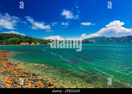 Küste entlang der Otago-Halbinsel, Dunedin, Otago, Südinsel, Neuseeland Stockfoto