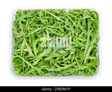 Frische Rucola, roher Rucola-Salat in Plastikbehälter, von oben. Gartenrakete, Eruca vesicaria, verwendet als Blattgemüse, Salatgemüse und Garnierung. Stockfoto