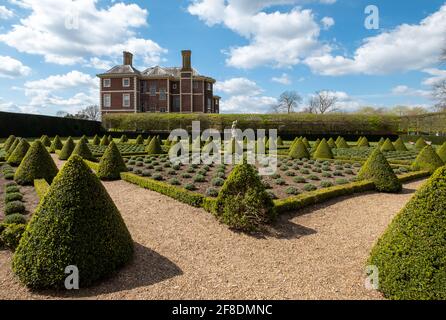 Der offizielle Cherry Garden im Ham House, Richmond upon Thames, London, Großbritannien, mit Kastenhecken und Lavendel in einem Gitter gepflanzt. Schinkenhaus im Hintergrund. Stockfoto